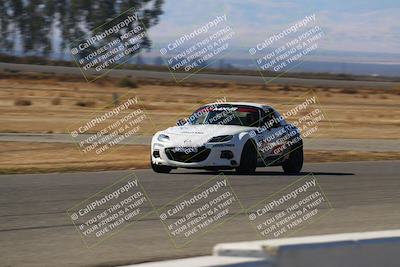 media/Nov-16-2024-CalClub SCCA (Sat) [[641f3b2761]]/Group 4/Grid and Front Straight/